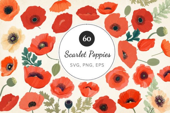 Poppy Clipart Bundle: SVG, EPS, PNG